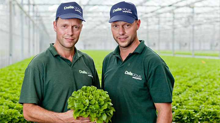 Roy y Mark Delissen, propietarios de Deliscious, una empresa productora de lechugas que utiliza la iluminación para horticultura de Philips 